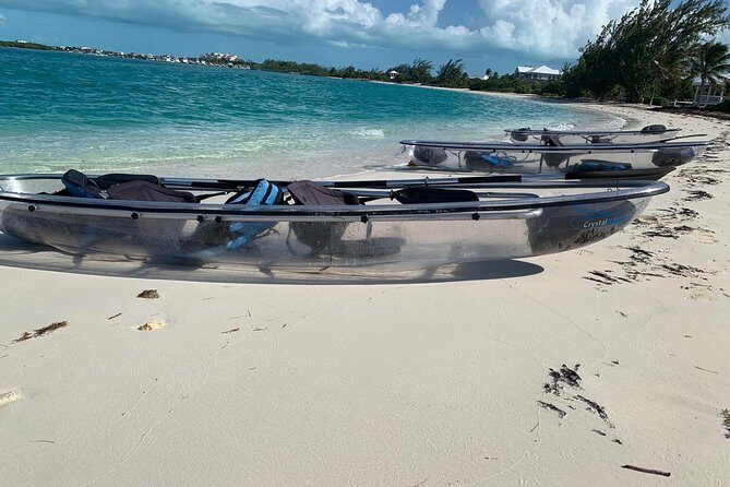 Mangrove & Iguana Clear Kayak Tour - Transparent kayaks over Mangrove Cay: what you’re really paying for
