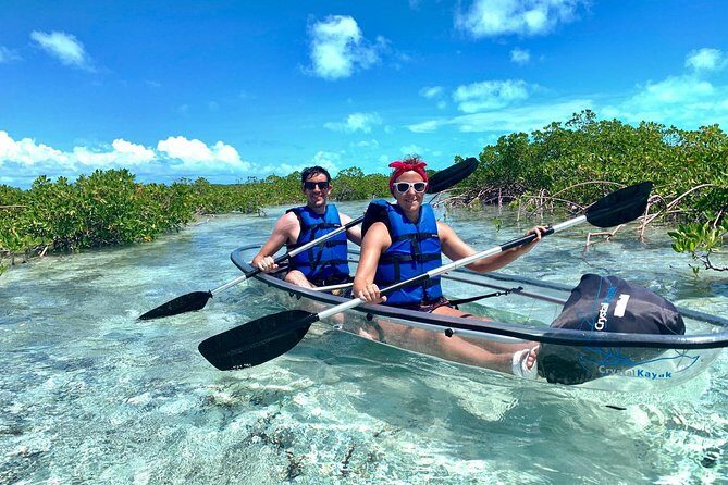 Mangrove & Iguana Clear Kayak Tour - Route basics: towing, then paddling in the calmest zones