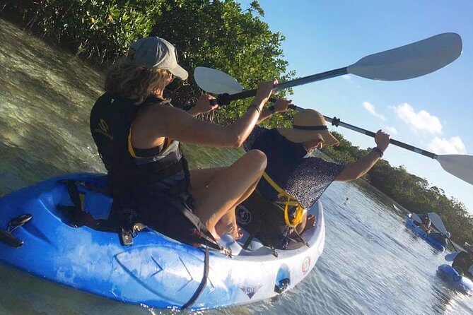 Mangroves Kayak Tour - Key highlights you’ll care about