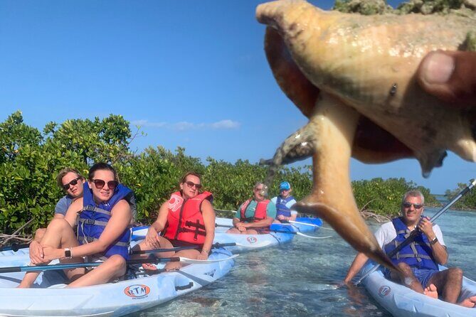 Mangroves Kayak Tour - Private pace and photo time: the part you’ll feel most during the tour