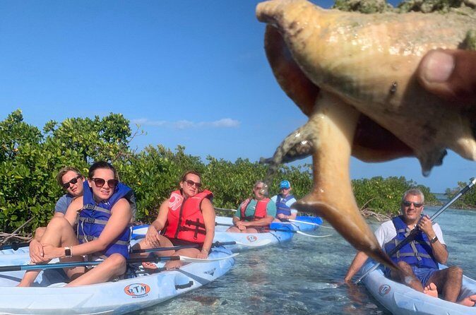 Mangroves Kayak Tour - Price and value: is $100 per person a smart buy?
