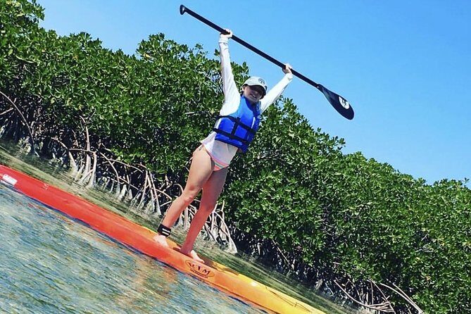 Mangroves Stand-Up Paddleboard Tour - Key Things I’d Pay Attention To