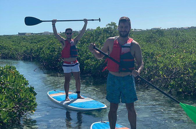 Mangroves Stand-Up Paddleboard Tour - Wildlife Watching From the Water Level (Above and Below)