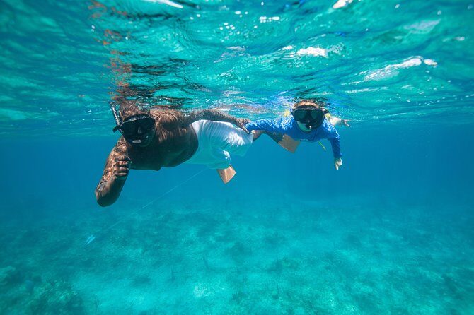 Morning Half Day Cruise from Providenciales with Snorkeling and Iguana Island - Little Water Cay (Iguana Island): uninhabited calm and wildlife spotting