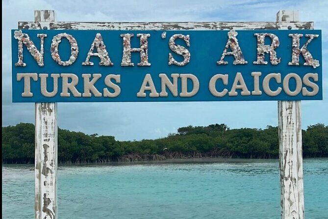 Noahs Ark Catamaran Trip - The 4-hour plan: cruising first, floating club second