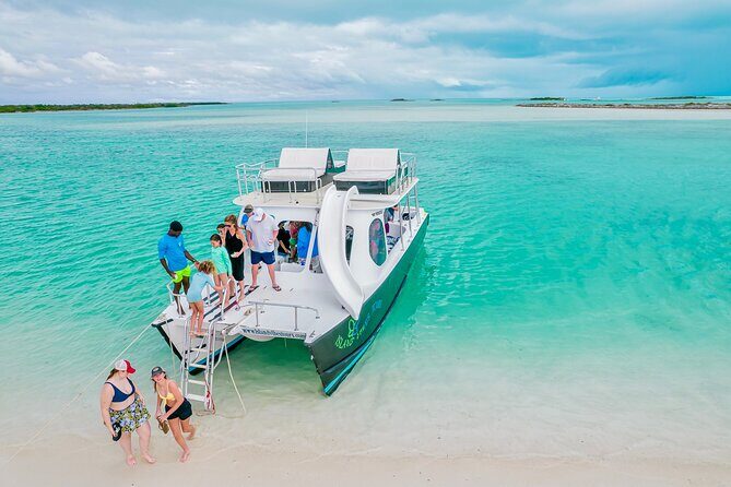 Private 4 Hour Power Catamaran Excursion in Grace Bay - Jumping from the boat, tubing, and the fun-factor for families