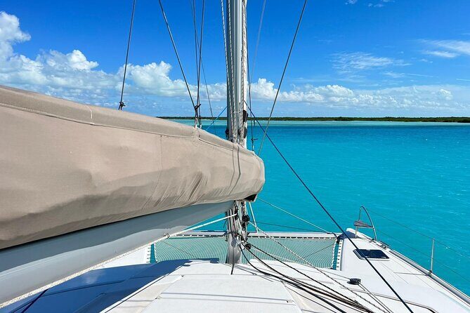 Private Afternoon Tour Catamaran 44 Big Ben - What makes this private catamaran stand out