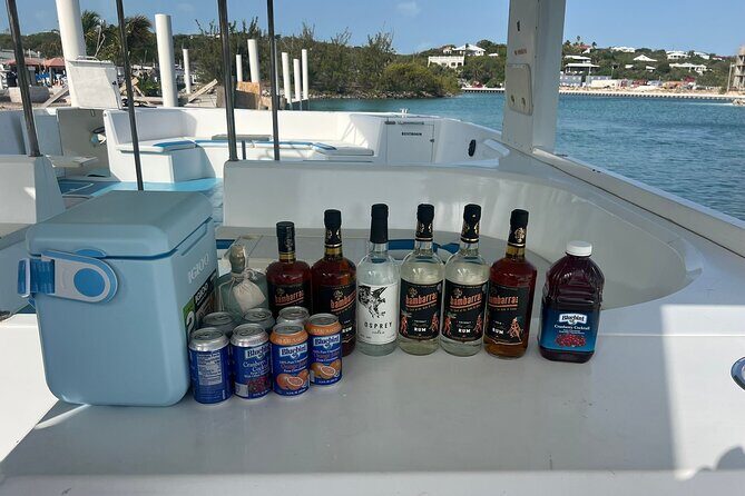 Private Boat Tour with Snorkeling and Beach BBQ - Who This Private Boat Tour Suits Best in Turks and Caicos
