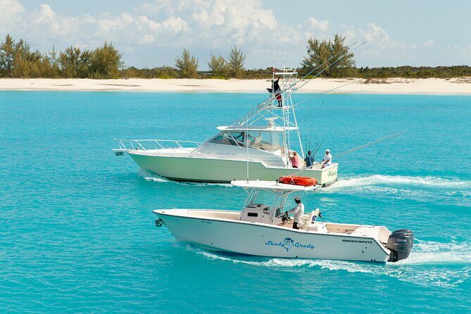 Private Deep Sea Fishing 1/2 Day morning on"Angler Management" - Private Deep Sea Fishing on Angler Management in Providenciales: What Makes It Worth It