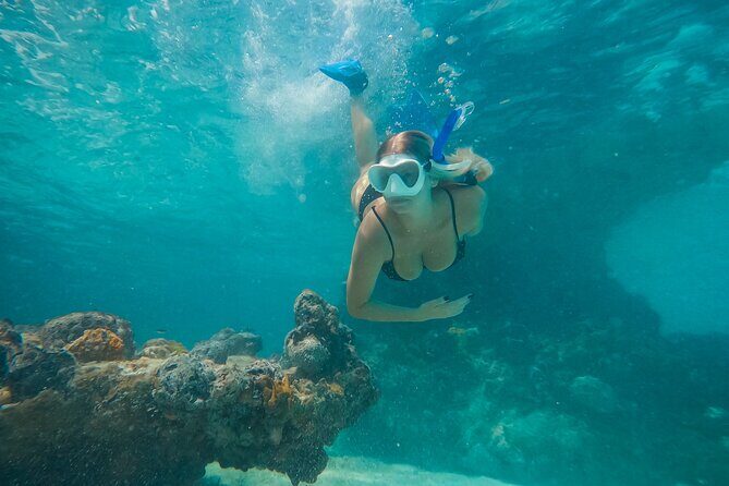 Private Half Day Luxury Snorkeling Charter - Key things I’d zero in on