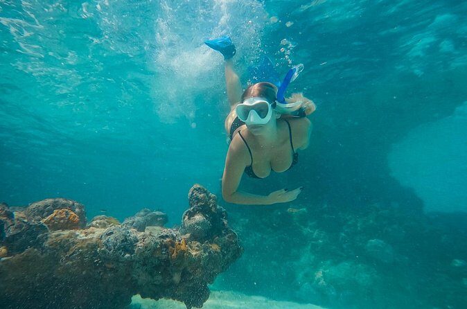 Private Half Day Luxury Snorkeling Charter - On-Board “Luxury” That Actually Affects Comfort