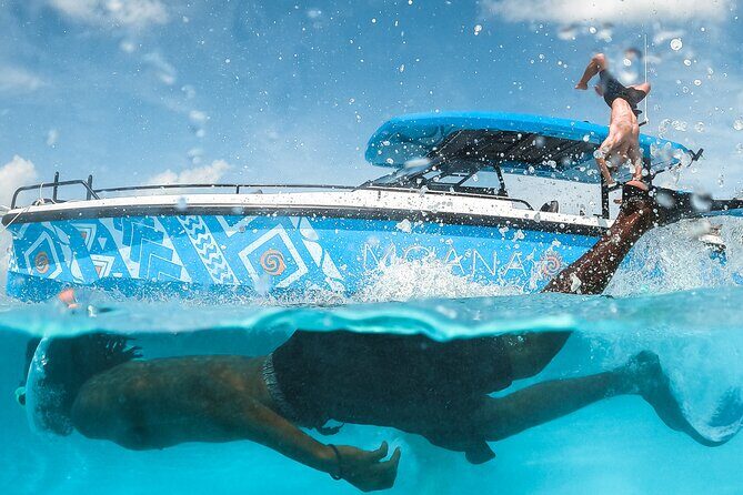 Private Half Day Luxury Snorkeling Charter - What the 3rd Largest Barrier Reef Means for Your Snorkel Plan