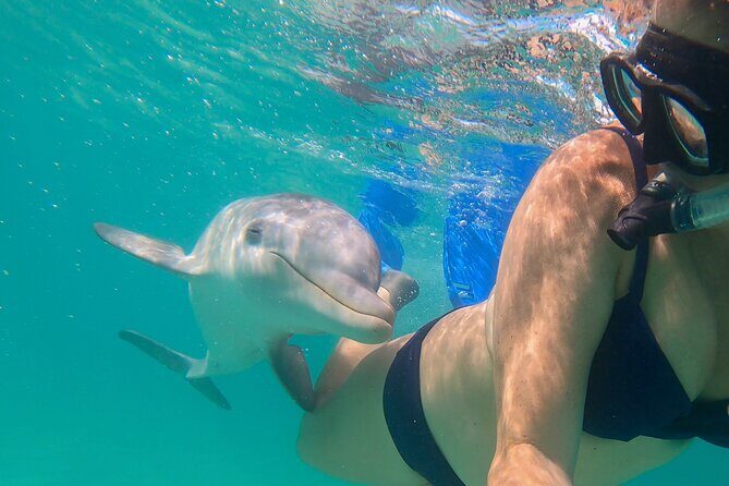 Private Reef, Beach and Sandbar Tour from Providenciales - Private Reef, Beach and Sandbar Tour: The Core Experience