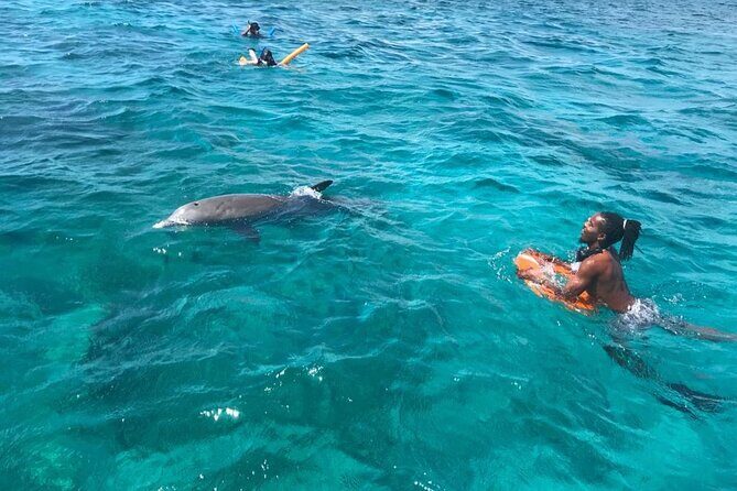 Private Reef, Beach and Sandbar Tour from Providenciales - La Famille Express Shipwreck: Optional, But Built for Adrenaline