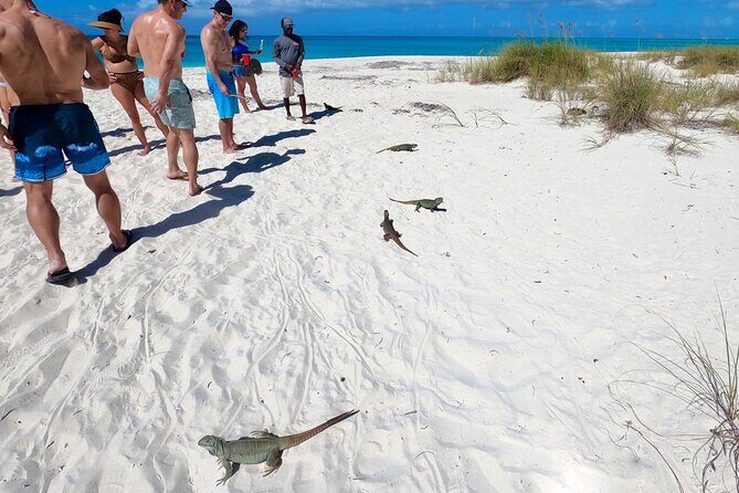 Private Reef, Beach and Sandbar Tour from Providenciales - Getting On Board: Pickup, Meeting Point, and Timing
