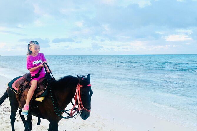 Shared Horseback Riding in Turks and Caicos - Value for $210: What’s Included (and Why It Matters)