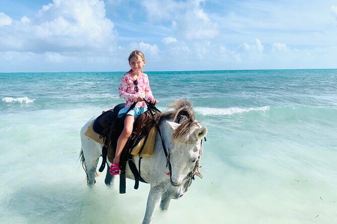 Shared Horseback Riding in Turks and Caicos - The Ride Itself: Sand, Trot, and Shallow-Water Time