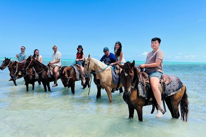 Small Group Horseback Riding Adventure in Caicos Islands - Before You Mount: Safety Briefings and Horse Familiarity
