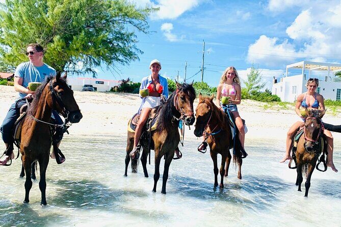 Small Group Horseback Riding Adventure in Caicos Islands - Getting There: Malcolm Road, the Shuttle, and a Simple Arrival Plan
