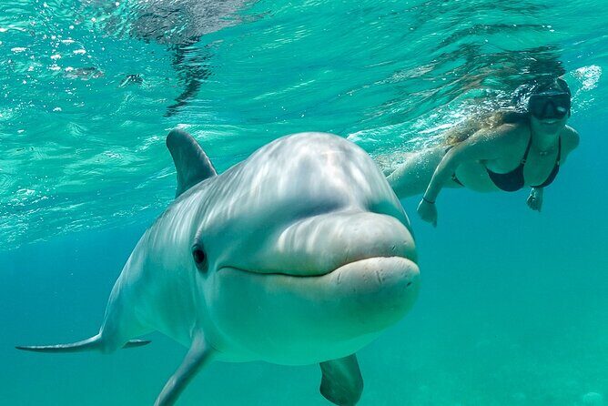 Snorkel Eco Tour - Key things you’ll notice right away