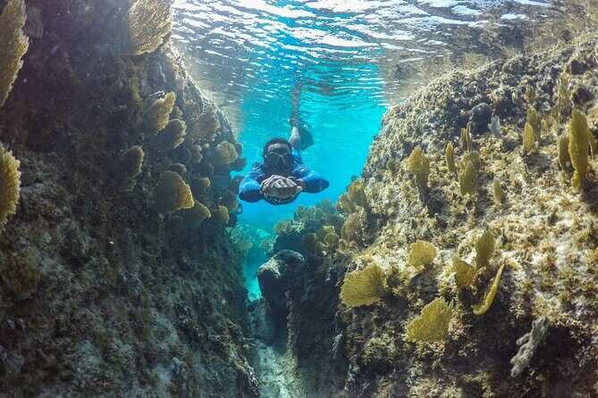 Snorkel Eco Tour - Price and value at $366 per person: what you get for the money