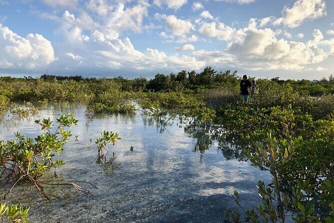 Snuba Adventure at Emerald Reef - What you’ll see under the surface at Emerald Reef