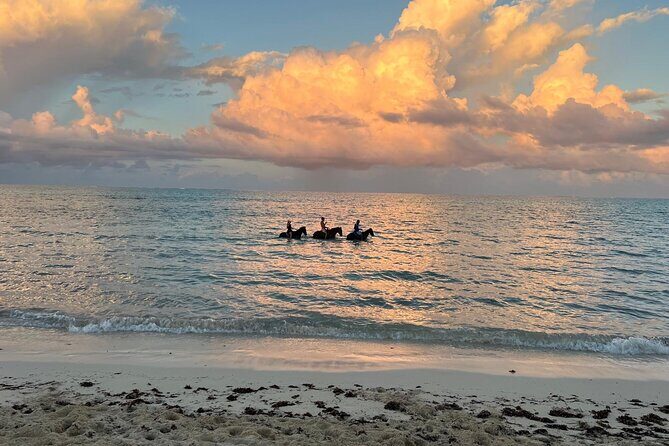 Sunset Horse Ride Experience - Value and what’s included for $226 per person