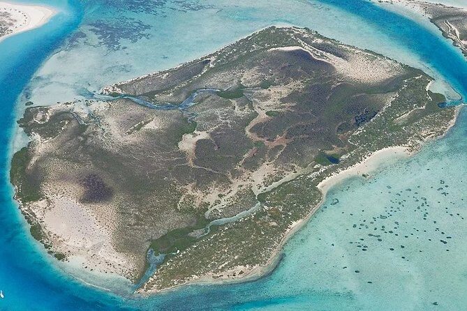Turtle Eco Tour on Stand-Up Paddleboards or Kayaks into the National Marine Park - Your Guide: How the Best Group Experiences Play Out